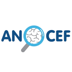 ANOCEF - co-adhésion – SFN